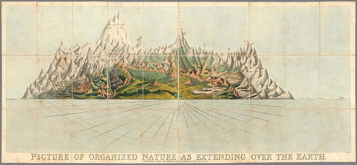 Picture-of-Organized-Nature-as-Extending-Over-the-Earth_-Charles-Smith_-credit-David-Rumsey.jpg