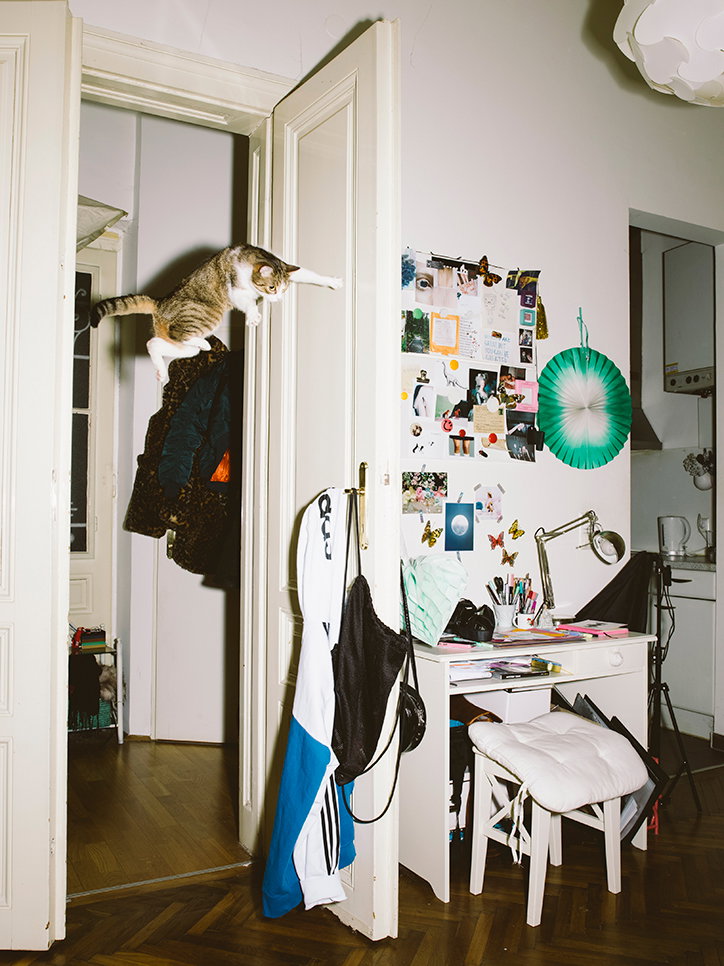 Cats8.jpg