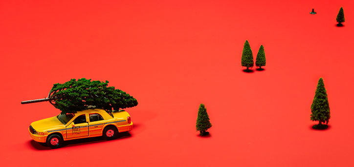 The-Toy-Project_GailBichler.jpg