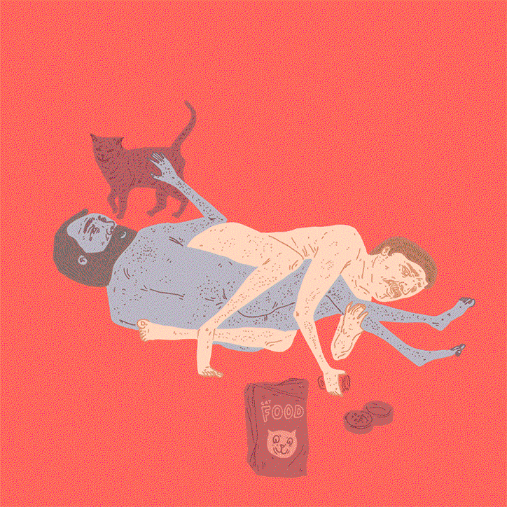 feeding_cat.gif