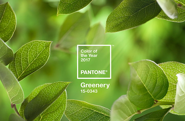 Pantone-COY2017-HeroShot2-RGB-list.jpg