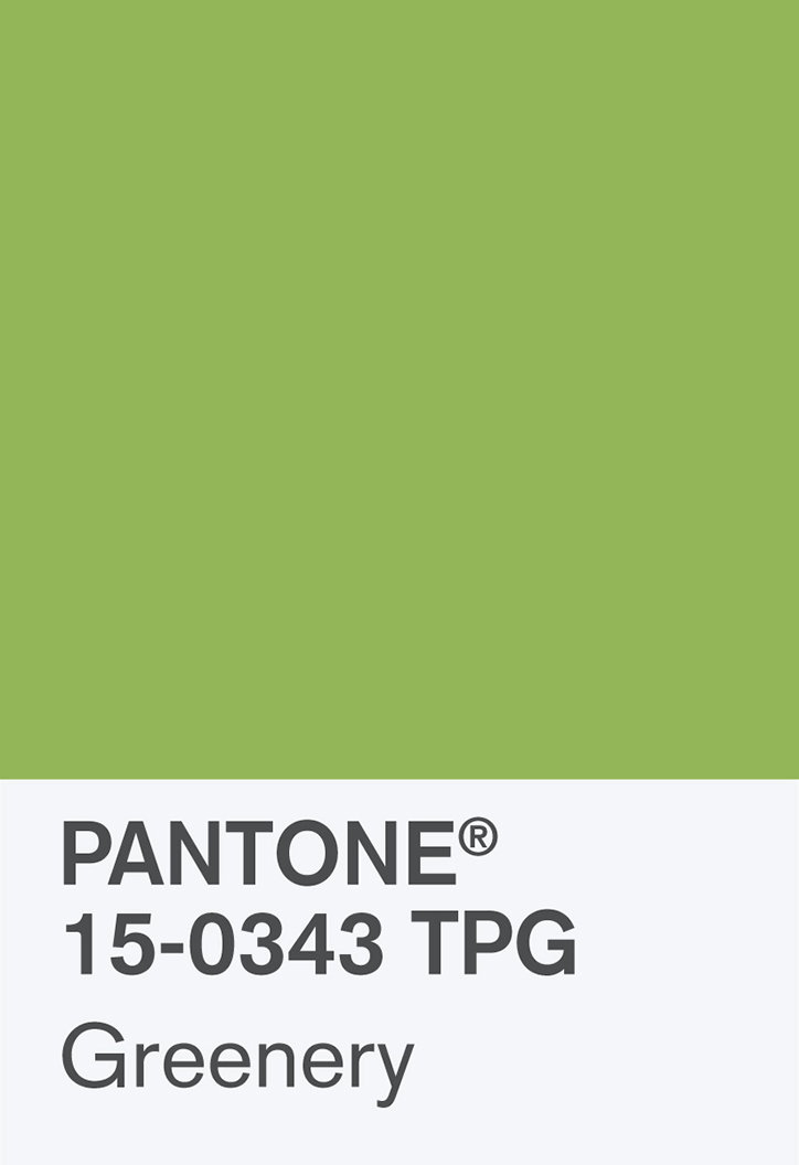 PantoneChip-15-0343-TPG-Greenery.jpg