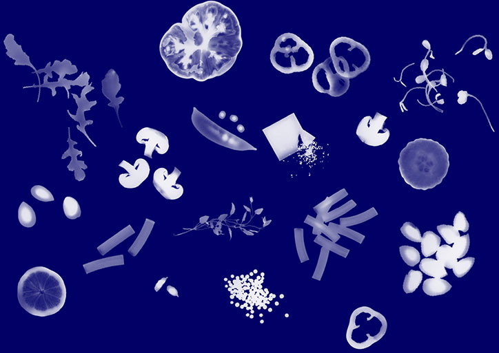 12-Raygrams.jpg