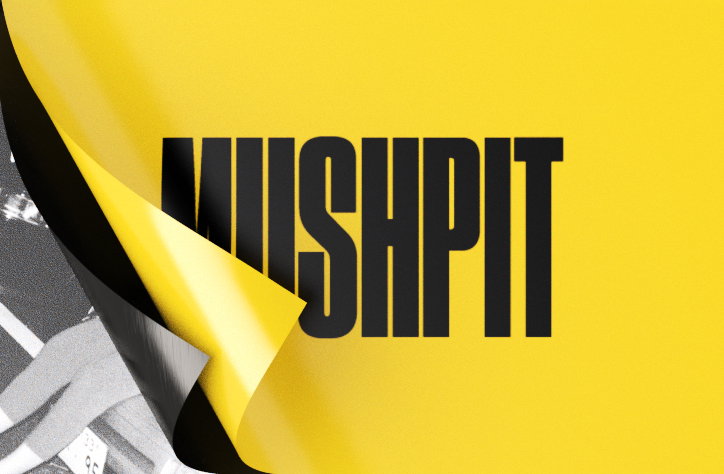Review of the Year 2016: publication Mushpit