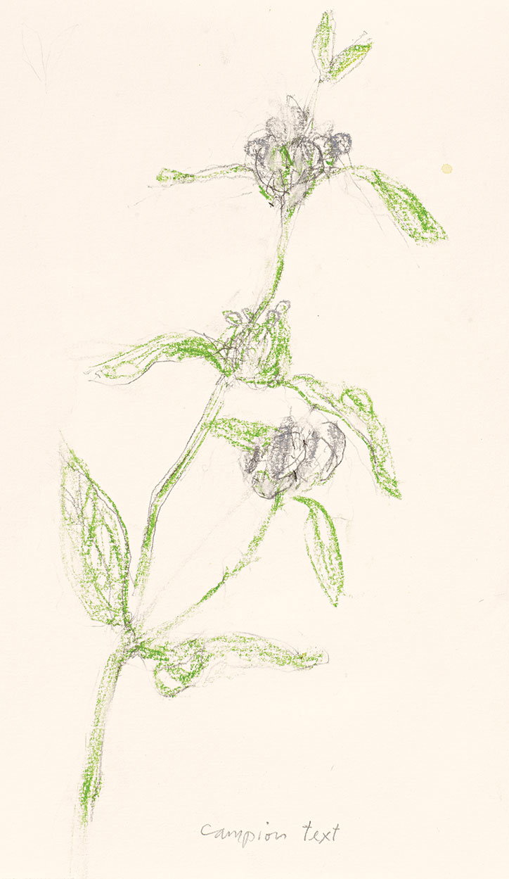 John-Berger-Confabulations-illustrations_Print11.jpg
