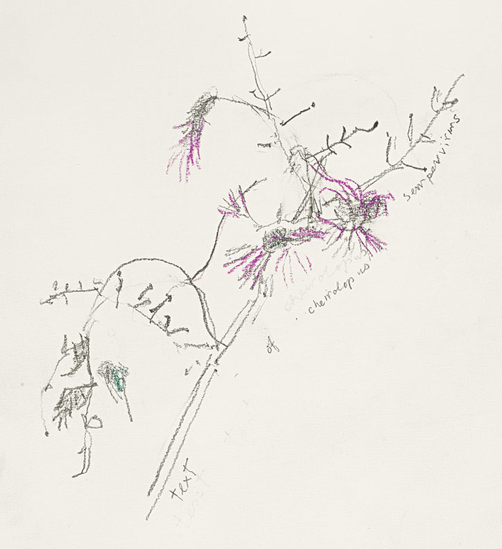 John-Berger-Confabulations-illustrations_Print13.jpg