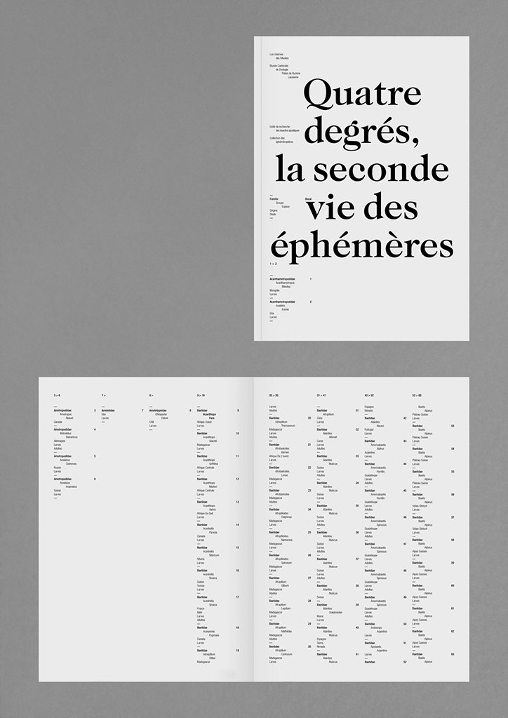 Lisa_Guedel-Dolle_INT_9.jpg