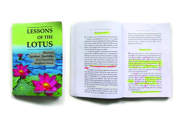 Patternity_Bookshelf_Lotus_INT_2.jpg