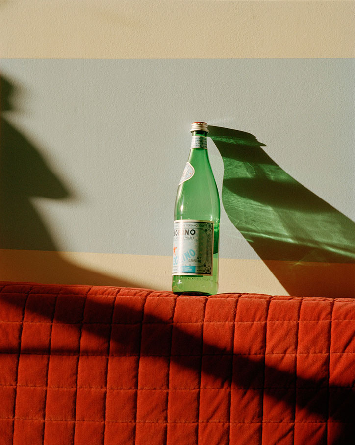 YM_pellegrinoshadow_2016_wkspINT.jpg