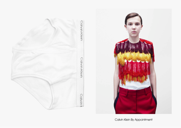 Calvin_Klein_By_apponitment_its_nice_that_2.png