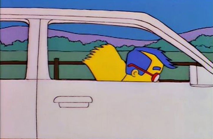 A chat with the anonymous curator behind Scenic Simpsons