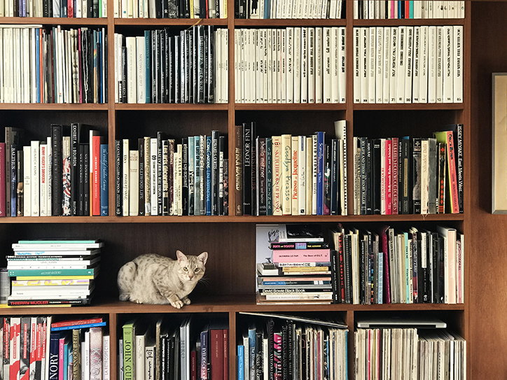 Mat-Maitland-Bookshelf_INT_top.jpg