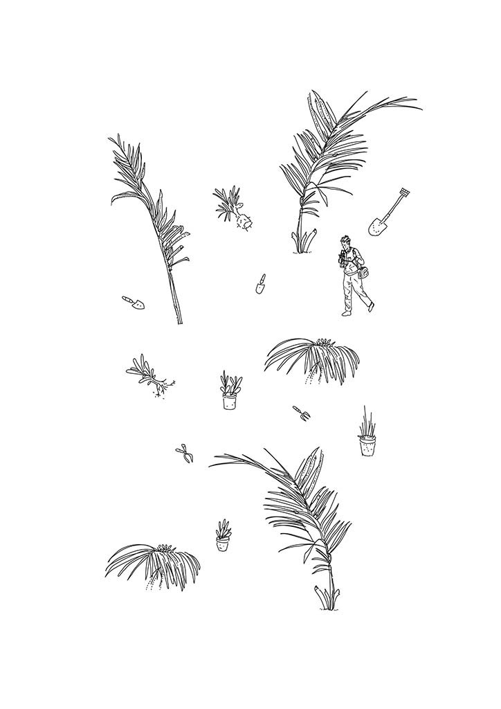 Jungle_Plants.jpg
