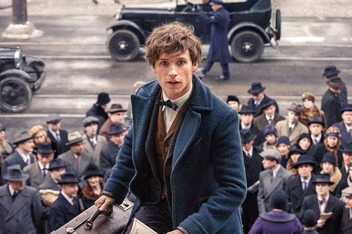 fantastic-beasts-and-where-to-find-them-still.jpg