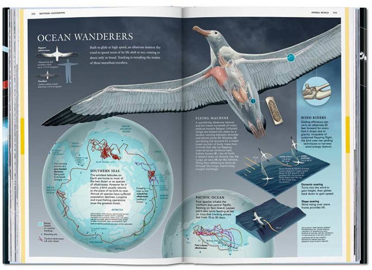 National_Geographic_Infographic_Tacshen_INT_1.jpg