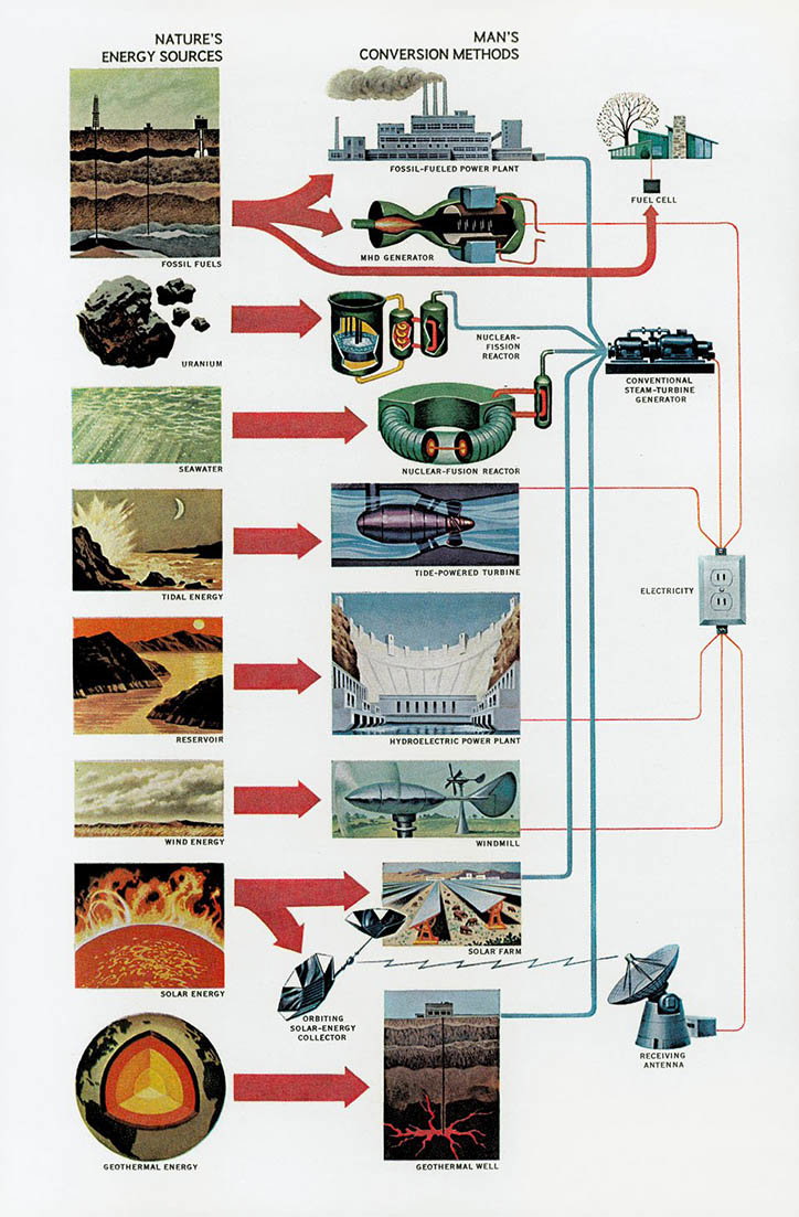 National_Geographic_Infographic_Tacshen_INT_5.jpg