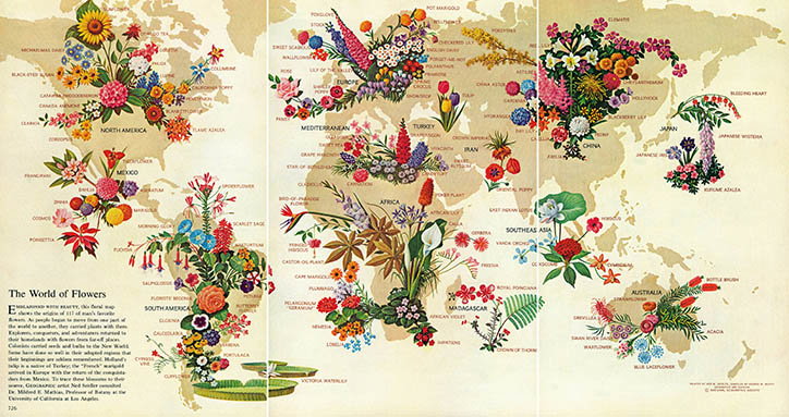 National_Geographic_Infographic_Tacshen_INT_6.jpg