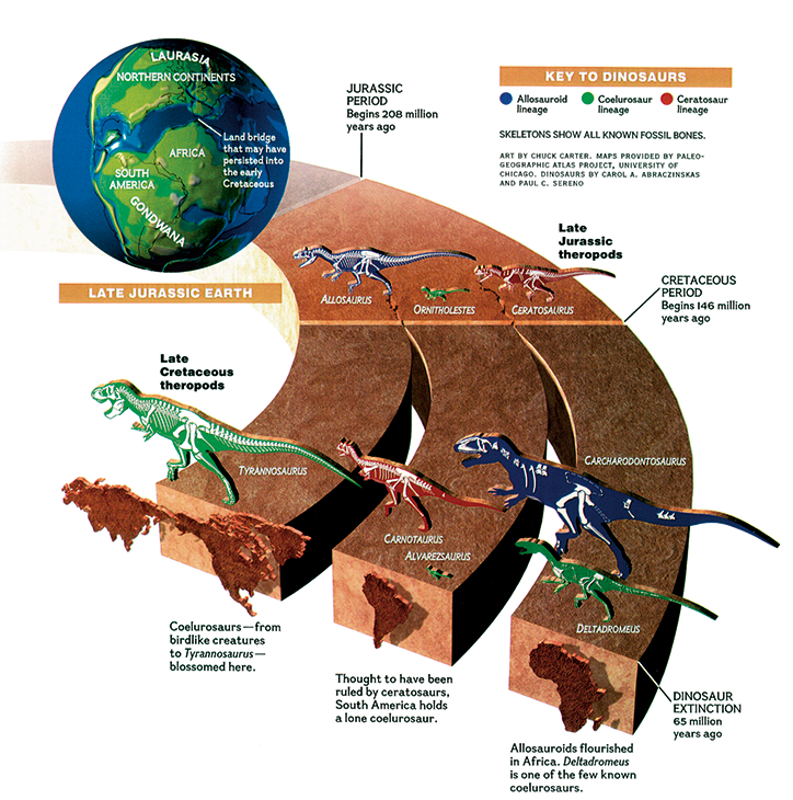 National-Geographic-Infographic-Tacshen-INT-8.png