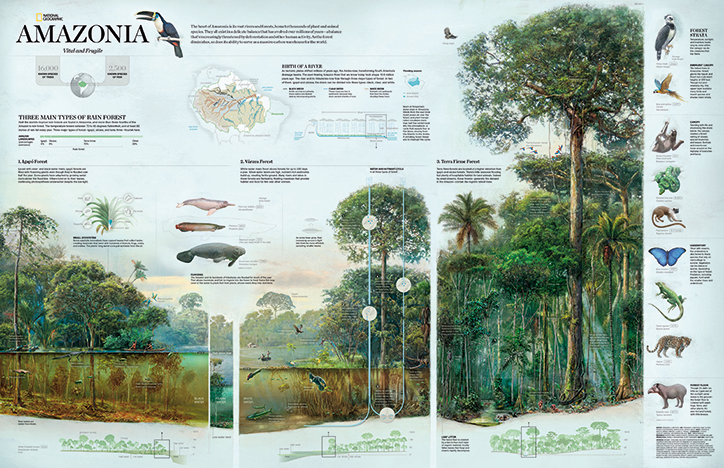 National-Geographic-Infographic-Tacshen-INT-9.png