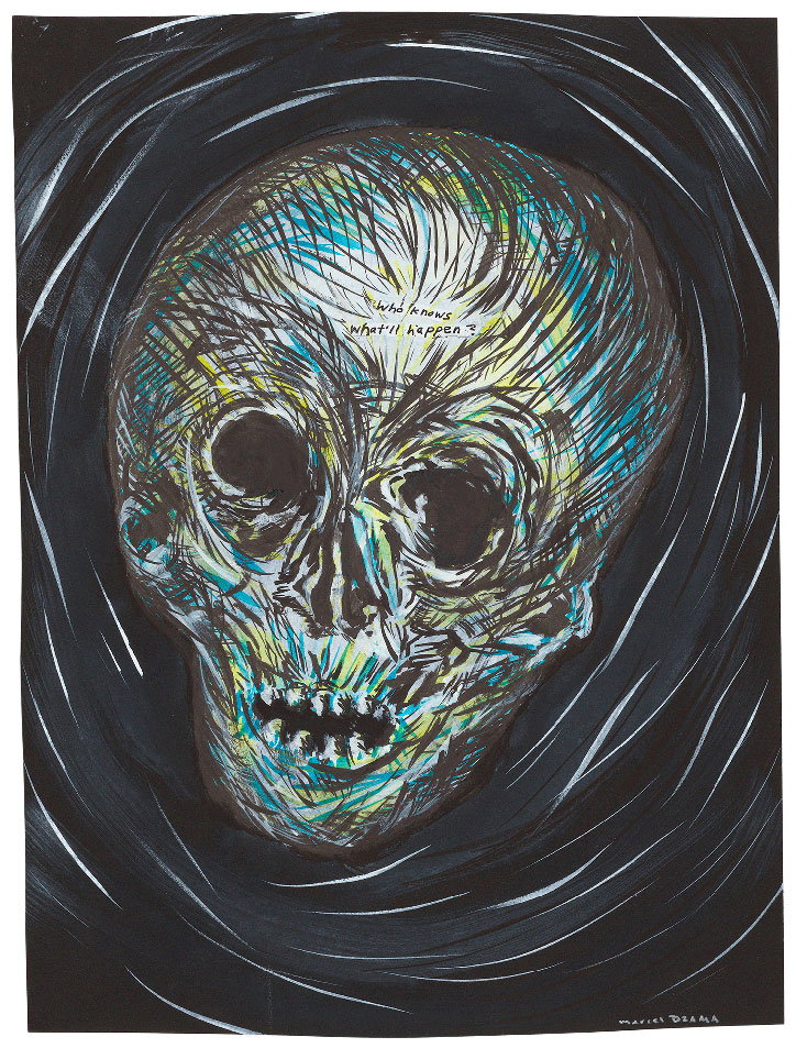 raymond-pettibon-marcel-dzama-illegitimate-president-4.jpg