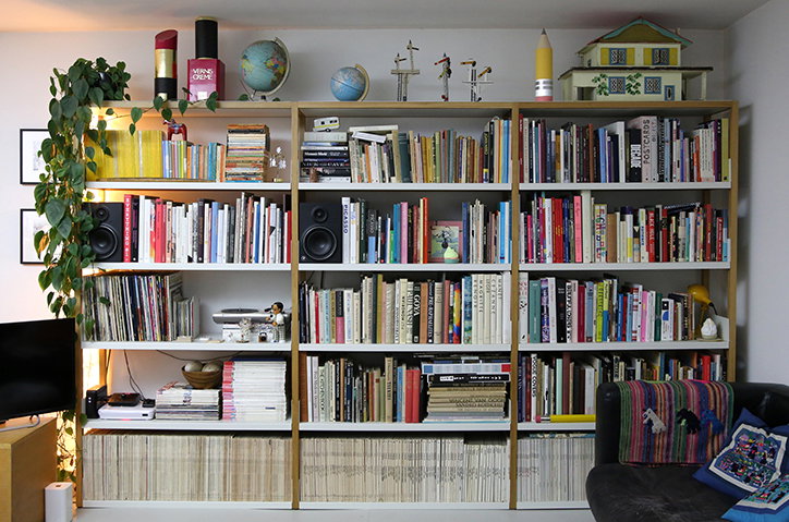 Andrew_Rae_Bookshelf_INT_top.jpg