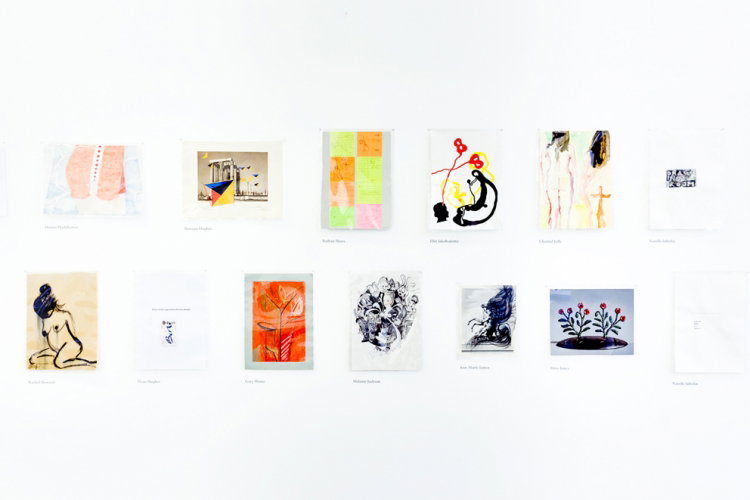 drawing_biennial_2015_photo_Dan_Weill.jpg