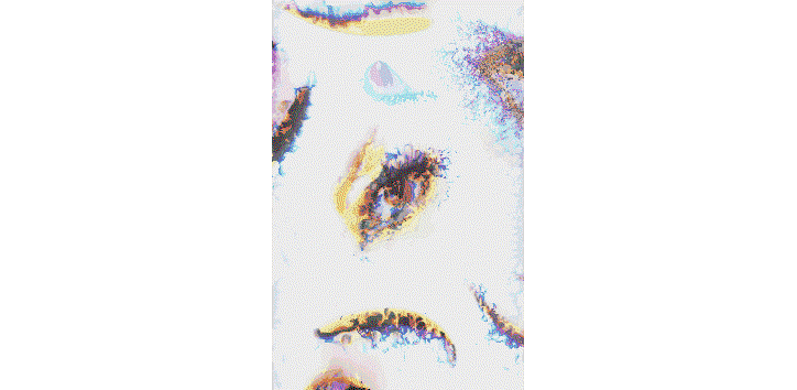 Thomas-Traum-Kenzo-Its-nice-That.gif