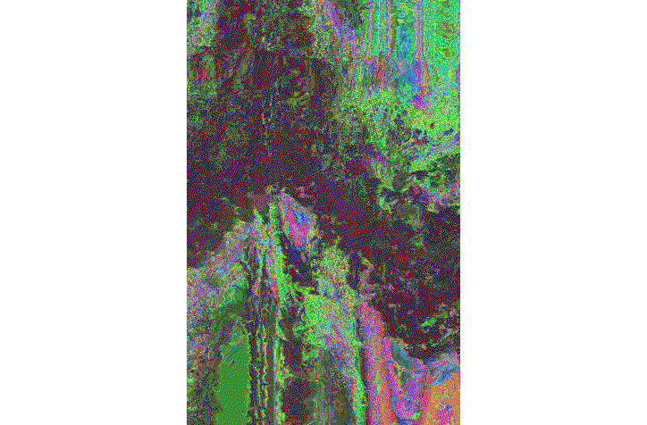 Thomas-Traum-Kenzo-Its-Nice-That-3.gif