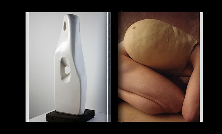 disobedient-bodies-book_okrm_hepworth_jamie-hawkesworth_cover.jpg