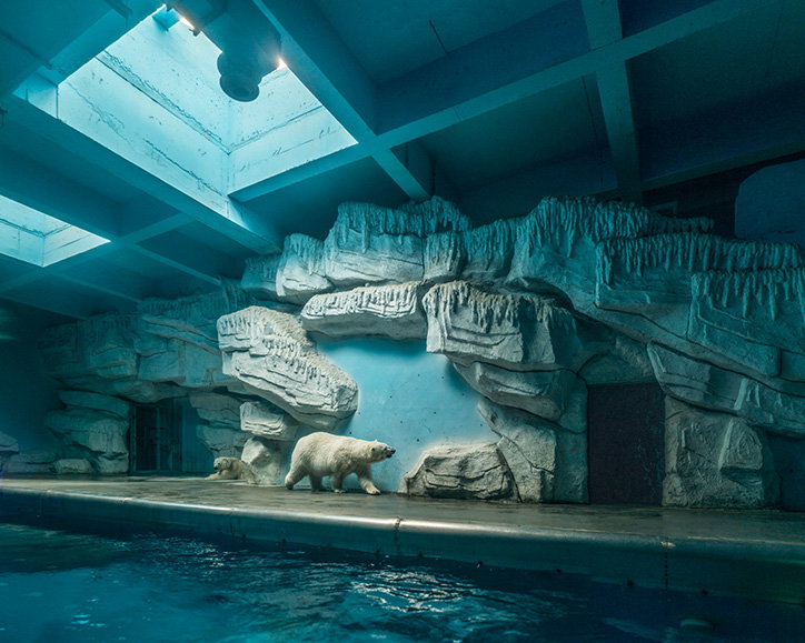 Sheng_Wen_Lo_White_Bear_INT_1.jpg