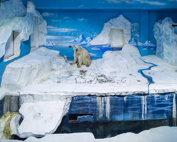 Sheng_Wen_Lo_White_Bear_INT_2.jpg