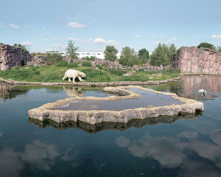 Sheng_Wen_Lo_White_Bear_INT_1.jpg