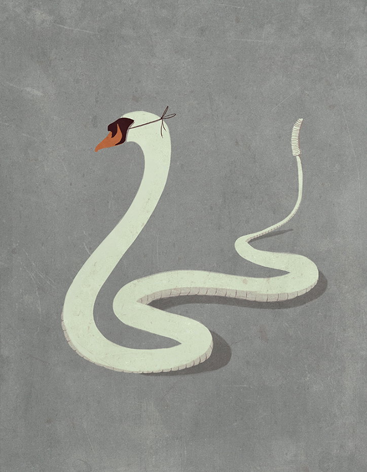 An illustration of a long, pale green snake coiled on a grey background. The snake wears a small brown hat perched on its head.