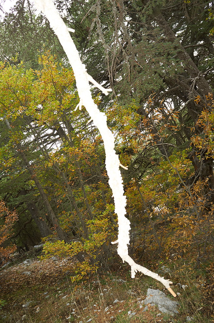 DSCF3486-libro-pietracupaINT.jpg