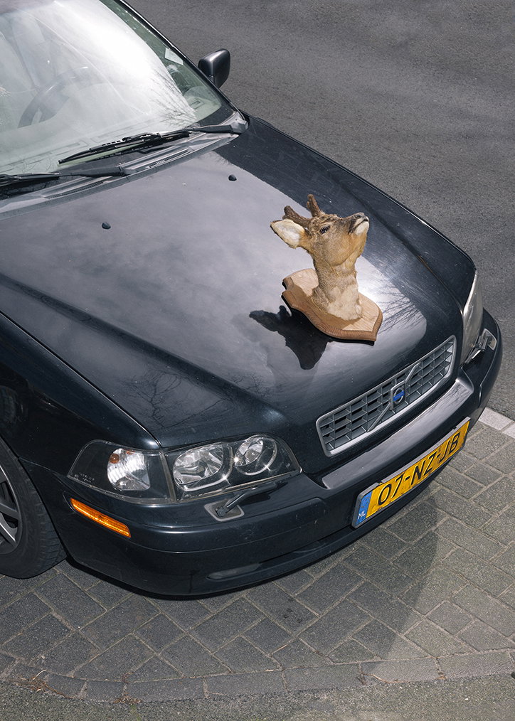 Roadkill_Trophies1.jpg