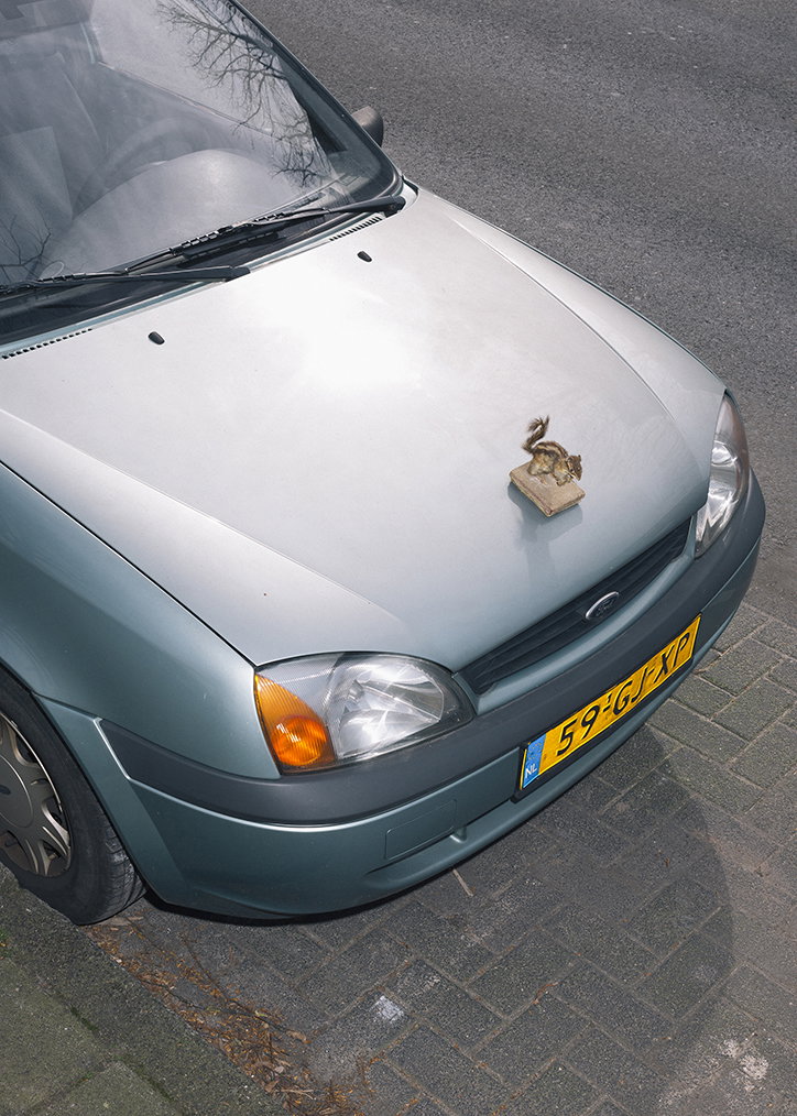 Roadkill_Trophies2.jpg