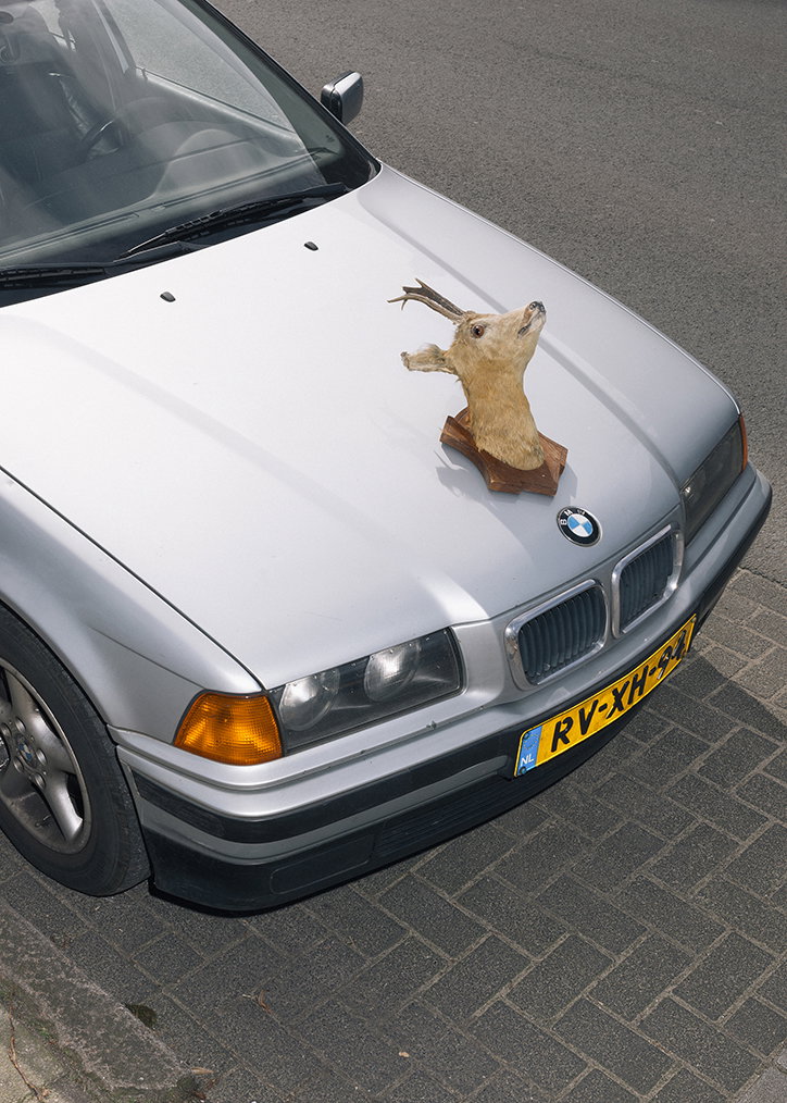 Roadkill_Trophies3.jpg