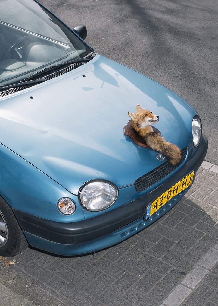Roadkill_Trophies4.jpg