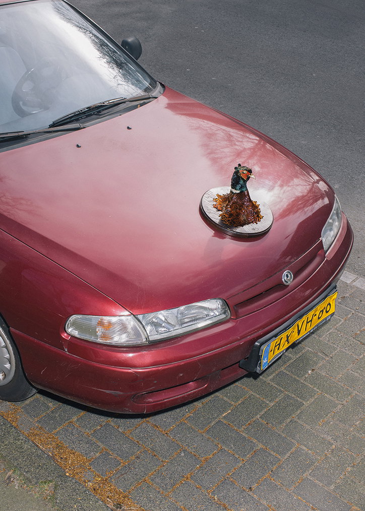 Roadkill_Trophies6.jpg