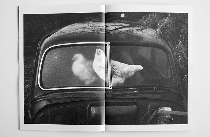 Martin_Parr_Abandoned_Morris_Minors_of_the_West_of_Ireland_cafe-royal16.jpg