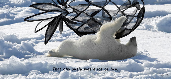 christoph-niemann-national-geographic-polar-bear.jpg