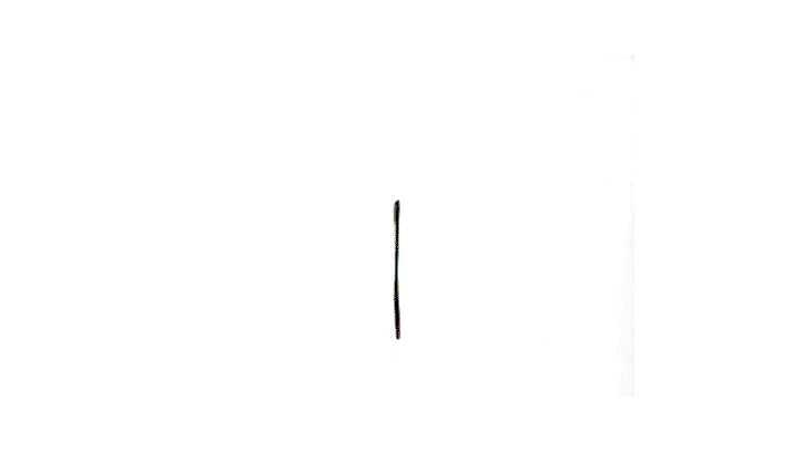 Chanel2.gif
