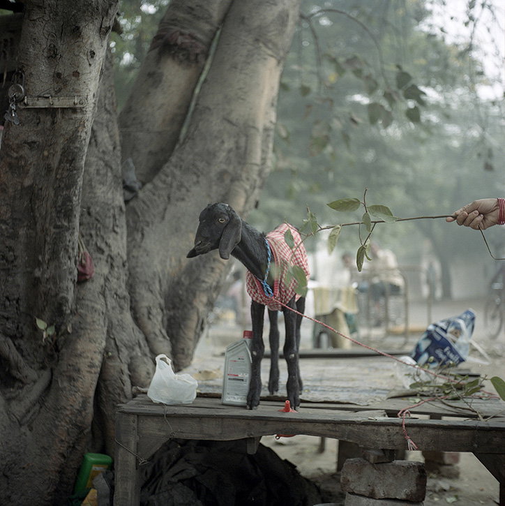 Anu_Kumar_Nagar_INT_14.jpg