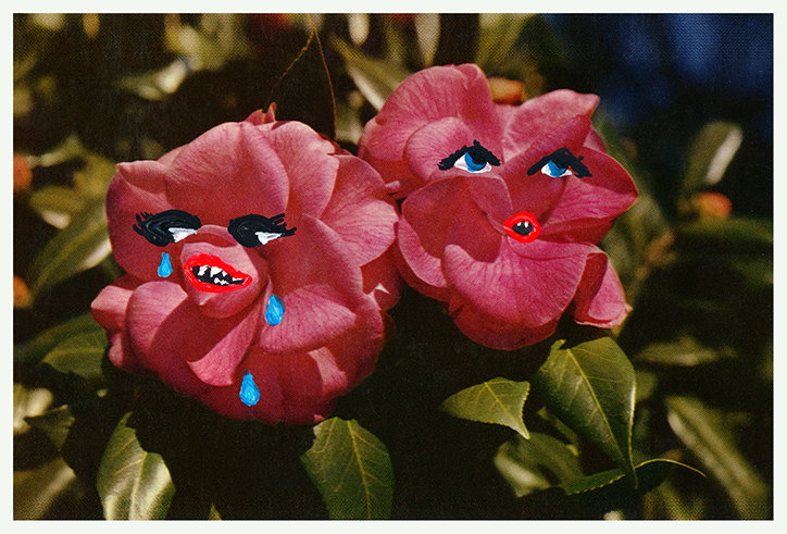 Angela_Deane_Flora_INT_1.jpg