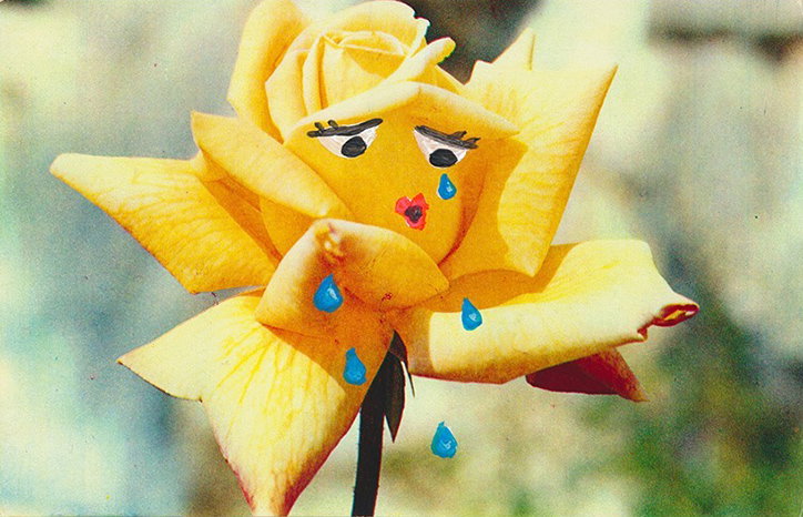 Angela_Deane_Flora_INT_15.jpg