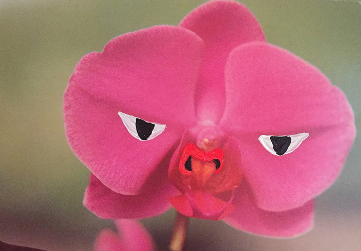 Angela_Deane_Flora_INT_13.jpg