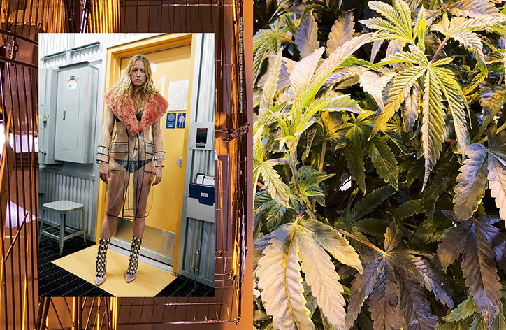 SYSTEM-mag-9_Juergen-Teller_Waiting-for-Rihanna_It's-Nice-That7.jpg