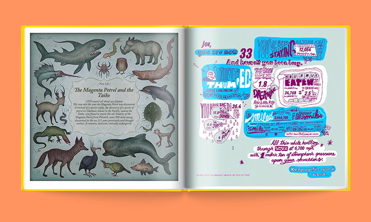 The_Book_of_Everyone_Its_Nice_That_book_open_1_(2).jpg