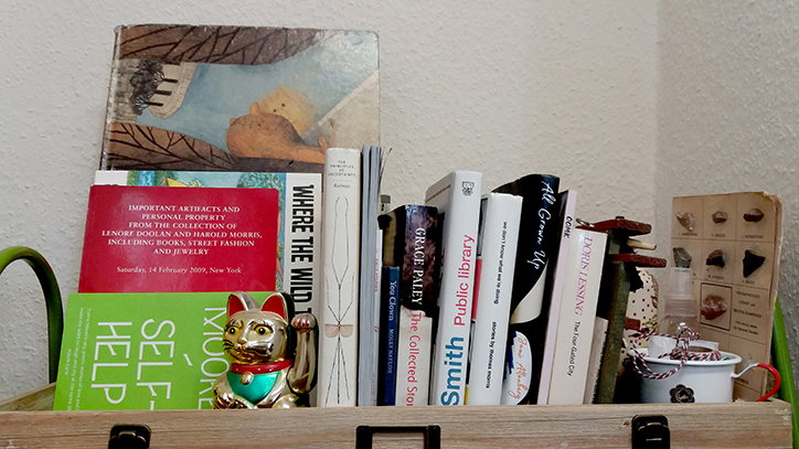 Lizzy_Stewart_Bookshelf_INT_top.jpg