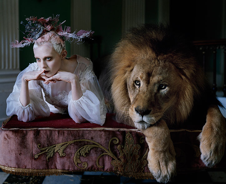 Tim-Walker_Love_Lion_itsnicethat.jpg